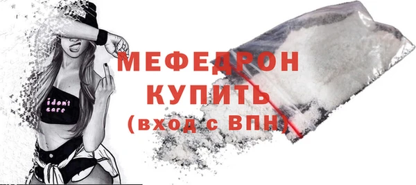сатива Новозыбков