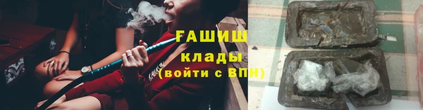 сатива Новозыбков