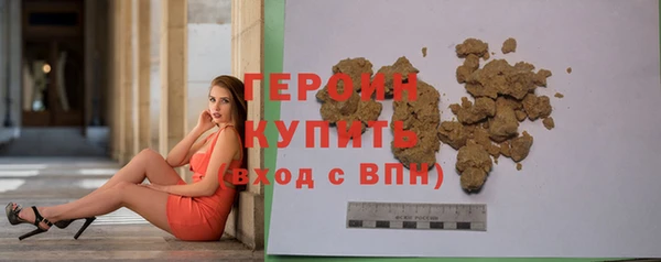 сатива Новозыбков
